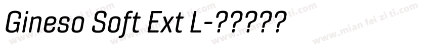 Gineso Soft Ext L字体转换